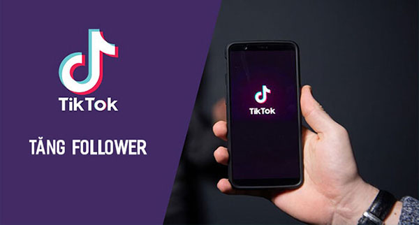Dịch vụ tăng follow tài khoản Tik Tok